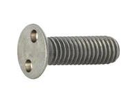 Afbeelding 4xRVS securety screw M4x10mm